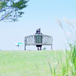 12292784_1696758750610519_2110131383_a