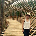 11820726_523174037848055_309336410_a