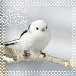 10831901_787563771316716_3379615_a