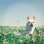 11055545_917348028285351_1441158089_a