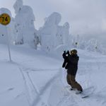 11931040_459200877603548_2078749317_a