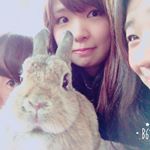 12120540_1765132577047394_1420142054_a