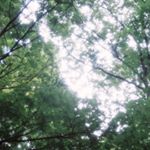 11939274_450836505105731_1549677066_a