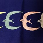 10249299_102654493423332_810797516_a