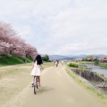 11143061_1641578792722201_1121449545_a