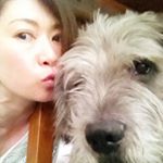 12224340_863222627124796_1033814483_a