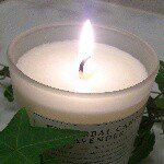 10832214_375958925915861_319680271_a