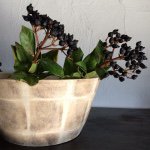 11098328_1740220526204372_1561047314_a