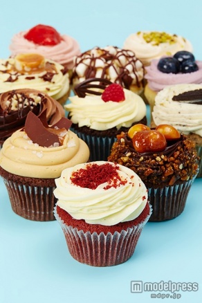 「LOLA’S Cupcakes」のカップケーキ／画像提供：A＆S＆R