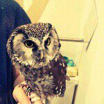 10608112_668967776527266_1570650665_a