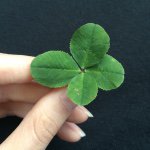 10914166_348538095332615_89873613_a