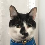 10898989_1509765056014772_1045979487_a