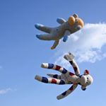 11850007_181094785556412_2133481191_a