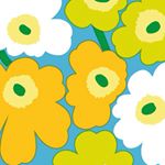 12135343_1639704092938624_880990242_a