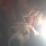 11349278_474934986023766_2089025271_a