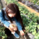 12237132_1728082600736868_163164085_a