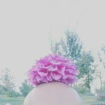 12135365_1695659233998764_1707303761_a