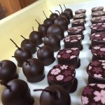 11257759_942144132515559_1802746635_a