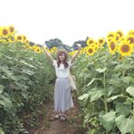 11931056_678165222282937_784223139_a