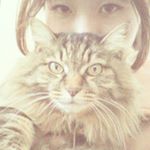 11875410_122971628056832_1397817024_a