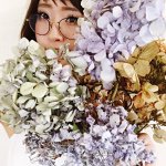 11374067_902310163158285_792883810_a