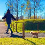 12106245_1671097353102036_1292116648_a