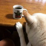 11055829_508438919303823_1780179527_a