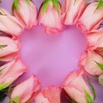 12132757_885301298249713_28455024_a