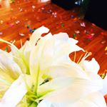 12356331_201512653529447_966735492_a