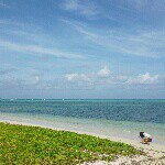 11373817_139712219701241_1977106811_a