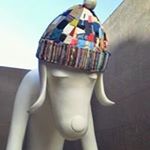 12292777_1669537566637293_773631835_a