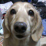 10838762_772015839544289_1164327545_a