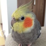 11385168_1176845045664315_1101600882_a