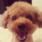 10611256_1449063858714273_1210630093_a