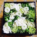 924687_1147745771918941_388926223_a