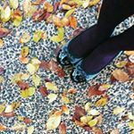 12224046_899301320106813_1311714622_a