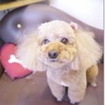 12093455_665001500307845_1642561054_a