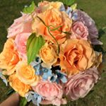 11910162_1635636130037624_400210563_a