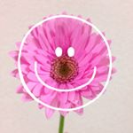 12362167_555035197987325_248725093_a