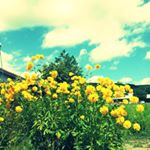 925497_1270558499636786_98689837_a