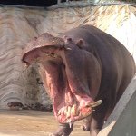 11205714_814941508594501_1529099173_a