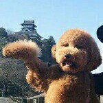 11078926_404692233035652_1798062423_a