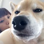 10535078_1488424818134596_707767489_a