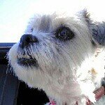 10598235_515689208561410_1229714282_a