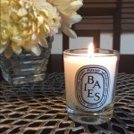 11208583_370904449785631_659330462_a