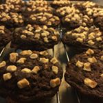 11887043_1482639408717537_277174689_a