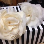 928841_714853185290625_781084050_a