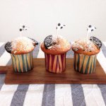 11424586_744450485676990_28280664_a