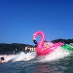 12345753_874931739272738_987932168_a