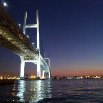 11420809_882186271829772_714619768_a